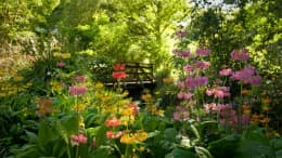Hagley Park North Court Facilities - Tennis Courts in Christchurch, New Zealand